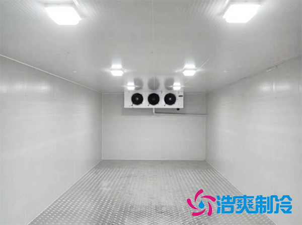 全自動化真菌冷凍庫（醫(yī)藥冷庫）建造設計方案