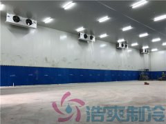  藥廠建造-20℃血漿醫(yī)藥冷庫，血漿醫(yī)藥冷庫安裝定制預(yù)算是多少？